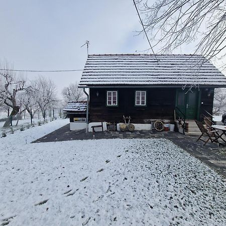 Holiday Home Hizica V Plavem Trnacu Gornja Stubica Dış mekan fotoğraf