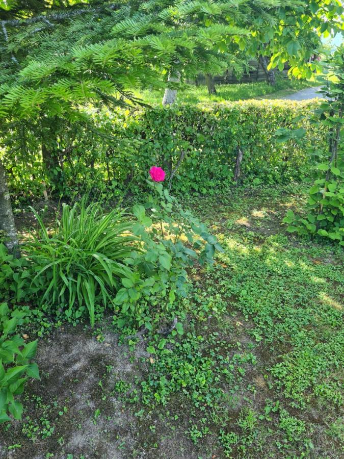 Holiday Home Hizica V Plavem Trnacu Gornja Stubica Dış mekan fotoğraf