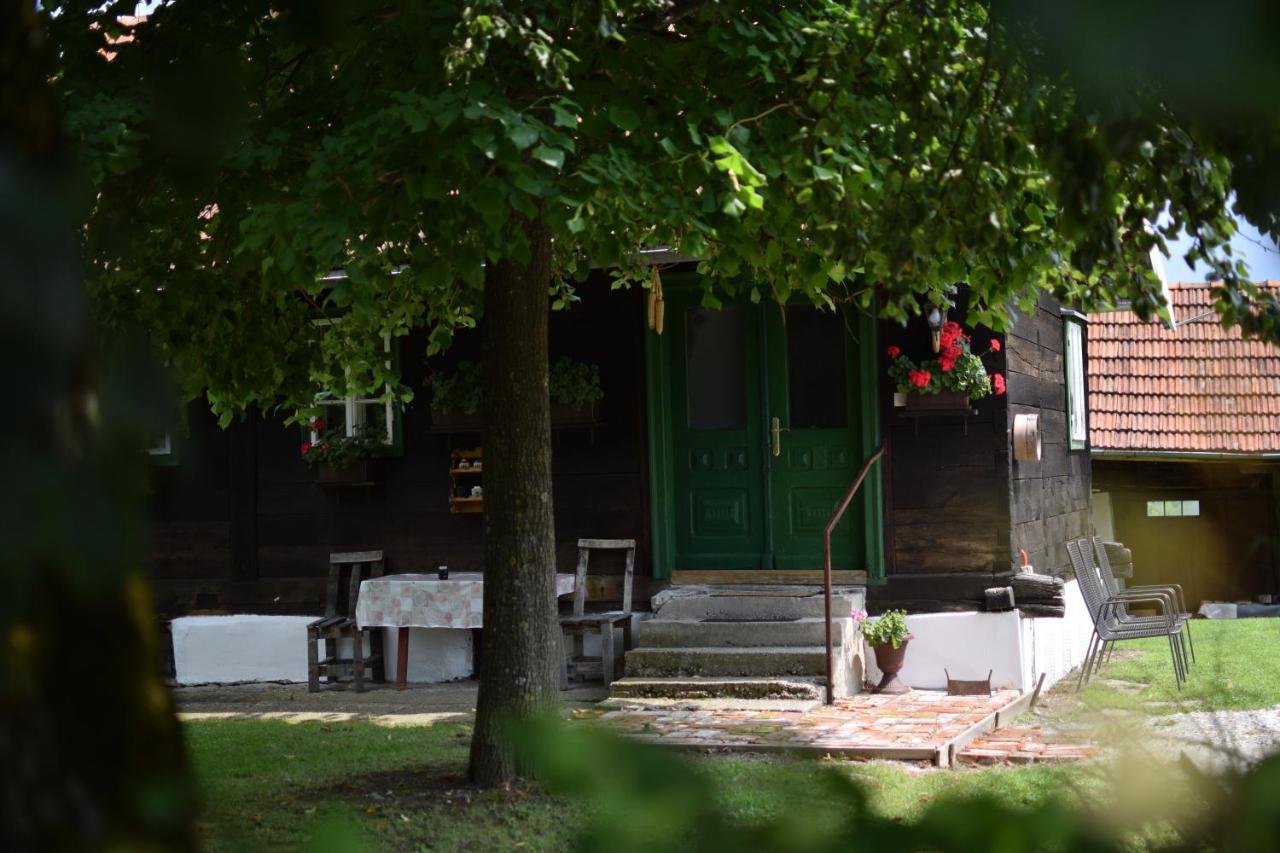 Holiday Home Hizica V Plavem Trnacu Gornja Stubica Dış mekan fotoğraf