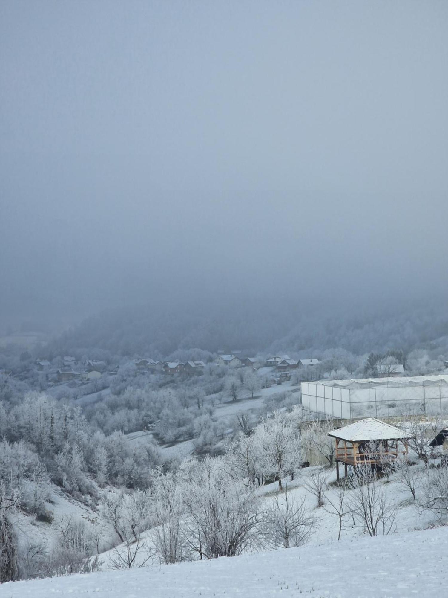 Holiday Home Hizica V Plavem Trnacu Gornja Stubica Dış mekan fotoğraf