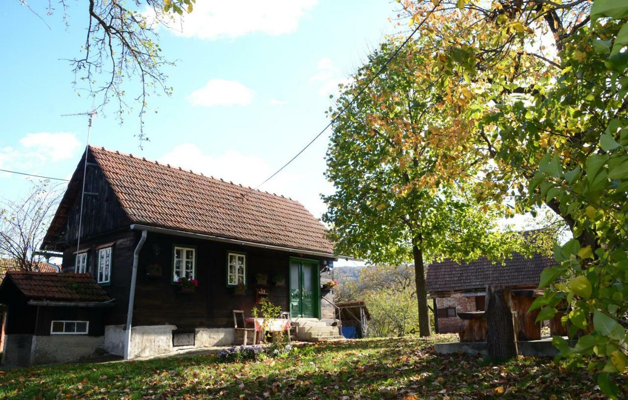 Holiday Home Hizica V Plavem Trnacu Gornja Stubica Dış mekan fotoğraf