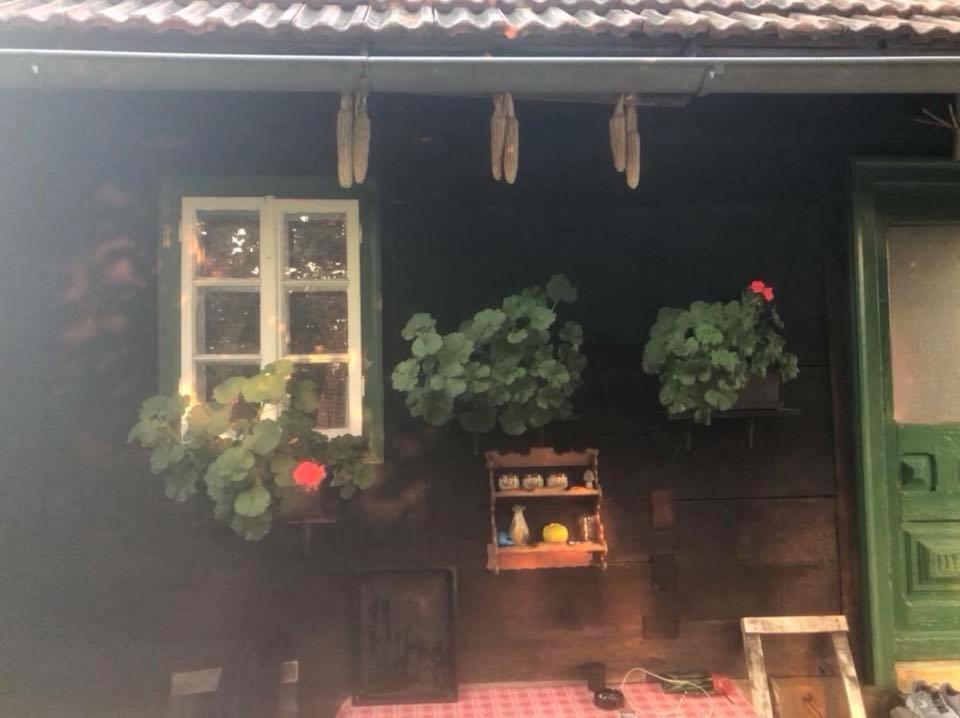 Holiday Home Hizica V Plavem Trnacu Gornja Stubica Dış mekan fotoğraf